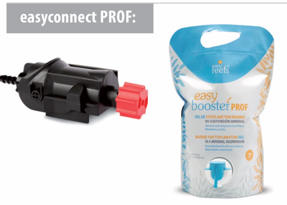 Easyconnect Prof ejemplo Easyconnect