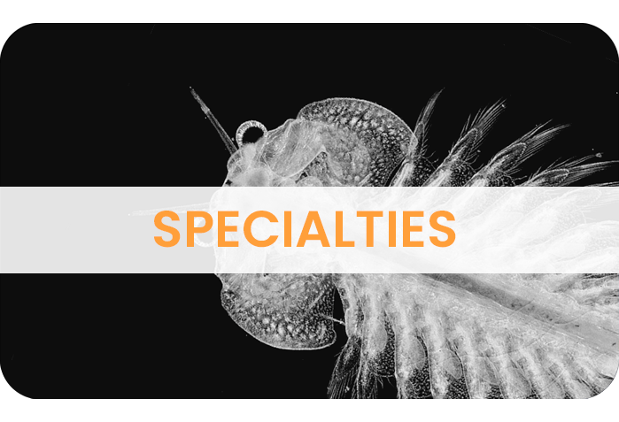 SPECIALTIES SPECIALTIES