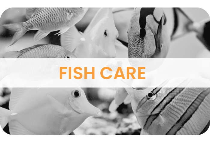 FISH CARE FISH CARE