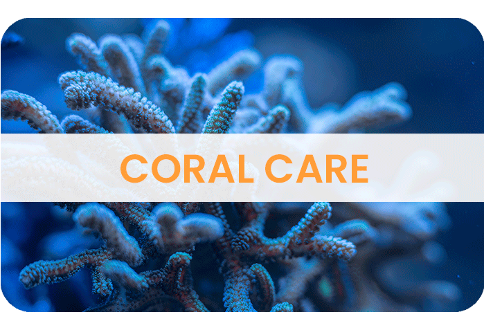 CORAL CARE